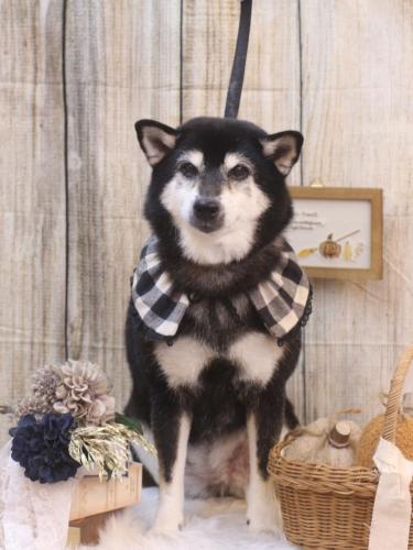 20241017ひめちゃん